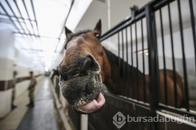 Atlı Jandarmalar geliyor!
