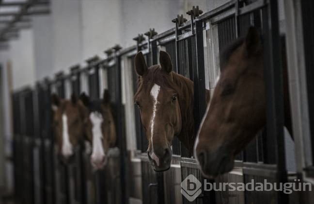 Atlı Jandarmalar geliyor!