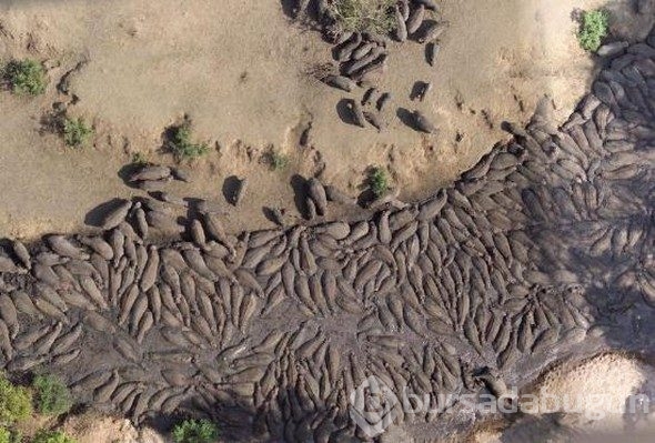 Google Earth'e yansıyan sıradışı görüntüler