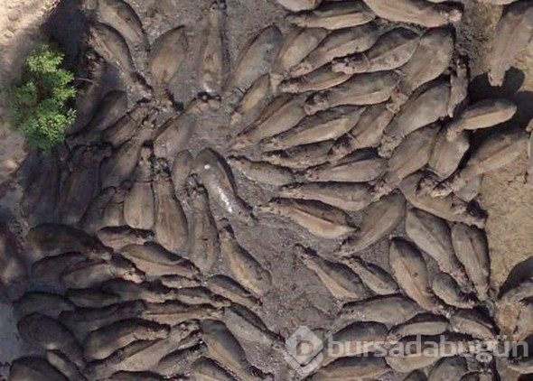 Google Earth'e yansıyan sıradışı görüntüler