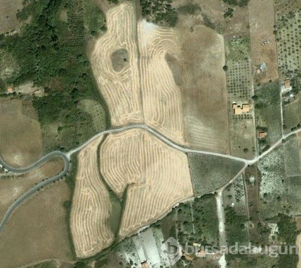 Google Earth'e yansıyan sıradışı görüntüler