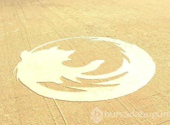 Google Earth'e yansıyan sıradışı görüntüler