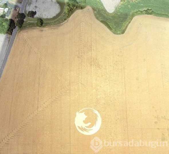 Google Earth'e yansıyan sıradışı görüntüler