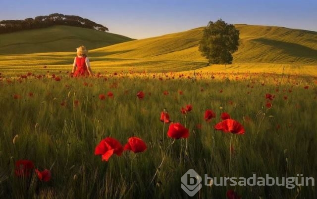 Kusursuz manzaralar