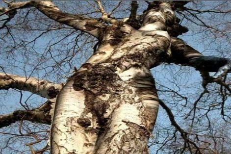 Ayrıntıyı fark edebildiniz mi?