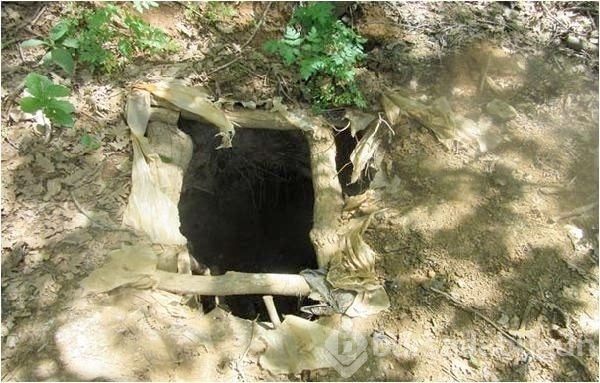 Bingöl'de PKK sığınağından öyle bir şey çıktı ki