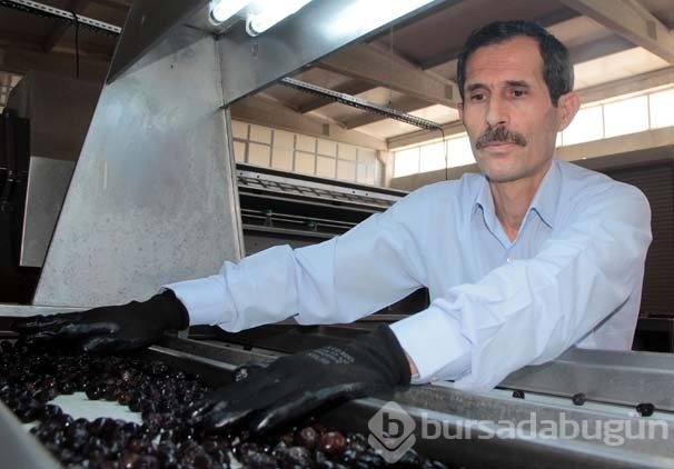 İmamlıktan fabrika patronluğuna