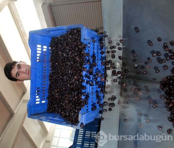 İmamlıktan fabrika patronluğuna