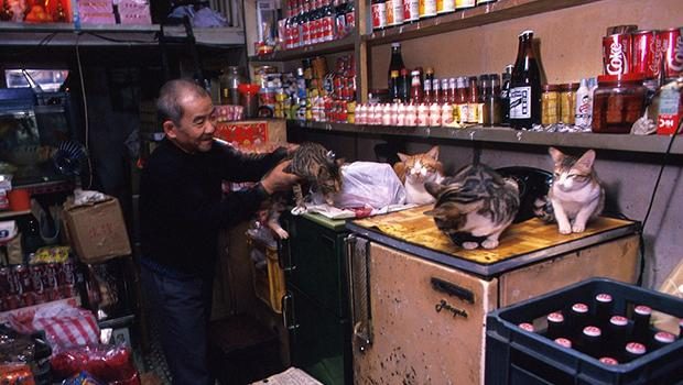 Dünyanın en kalabalık bölgesi