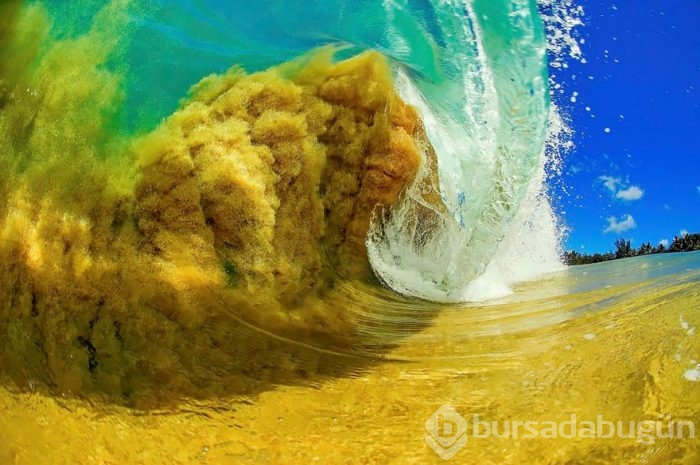 Bu fotoğraflardan sonra dalgalara daha farklı bakacaksınız