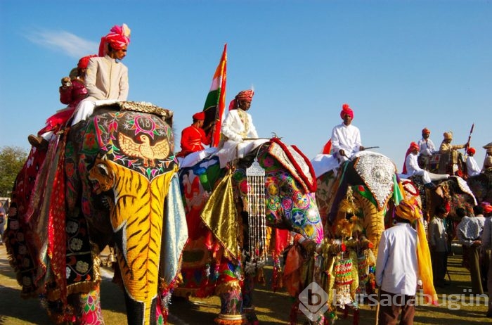 Dünyanın dört bir yanından rengarenk festivaller