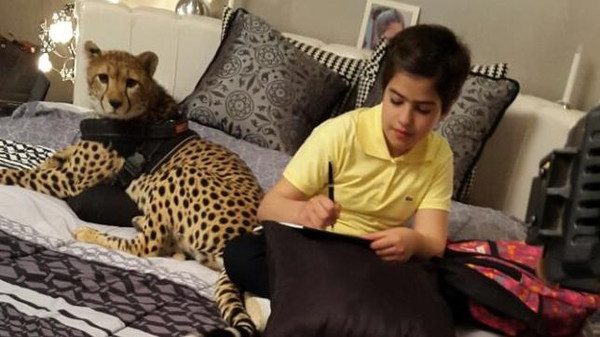 Yeni fetva: Hayvanlarla fotoğraf yasak