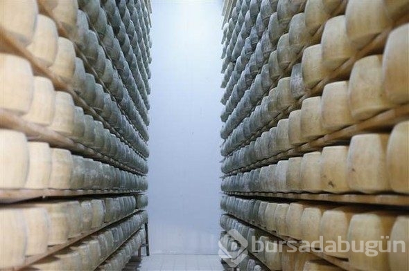 Türkiye'de üretiliyor, Avrupa'da kapış kapış gidiyor!