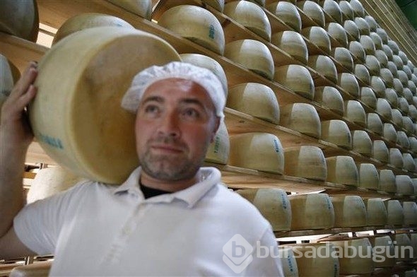 Türkiye'de üretiliyor, Avrupa'da kapış kapış gidiyor!