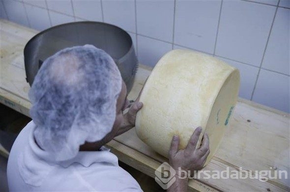 Türkiye'de üretiliyor, Avrupa'da kapış kapış gidiyor!