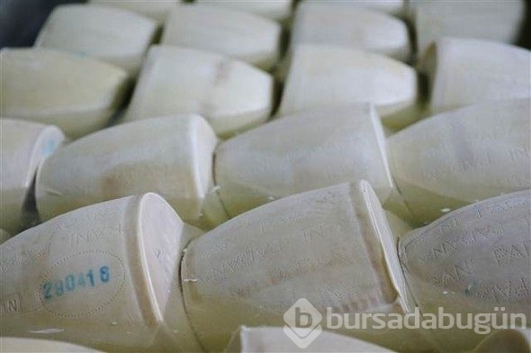 Türkiye'de üretiliyor, Avrupa'da kapış kapış gidiyor!