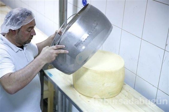 Türkiye'de üretiliyor, Avrupa'da kapış kapış gidiyor!