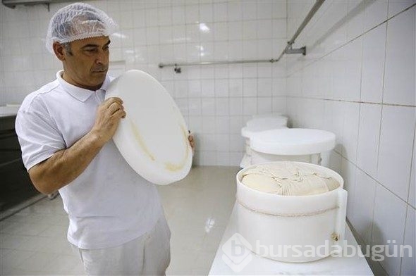Türkiye'de üretiliyor, Avrupa'da kapış kapış gidiyor!
