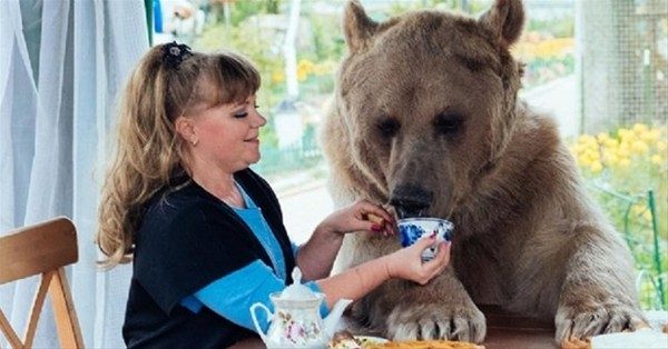 136 kiloluk ayıyla beraber yaşıyorlar
