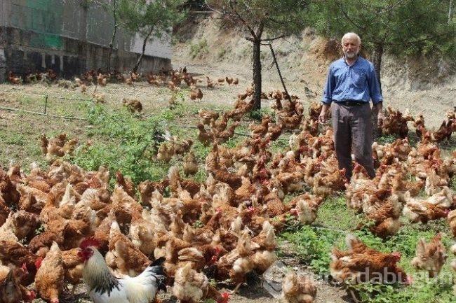 'Tavukların efendisi' adeta para basıyor!