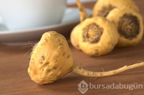 Gençliğin sırrı bu bitkide!