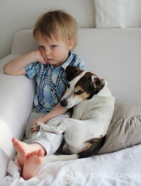 İşte en masum dostluk!
