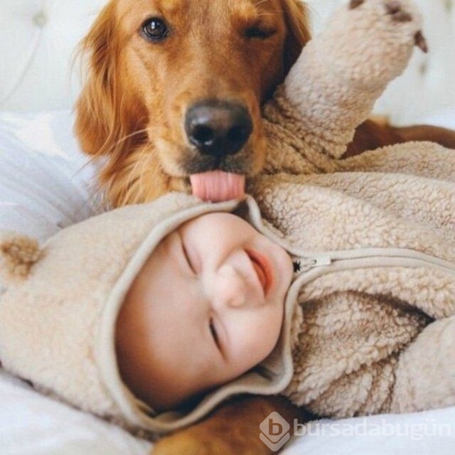 İşte en masum dostluk!