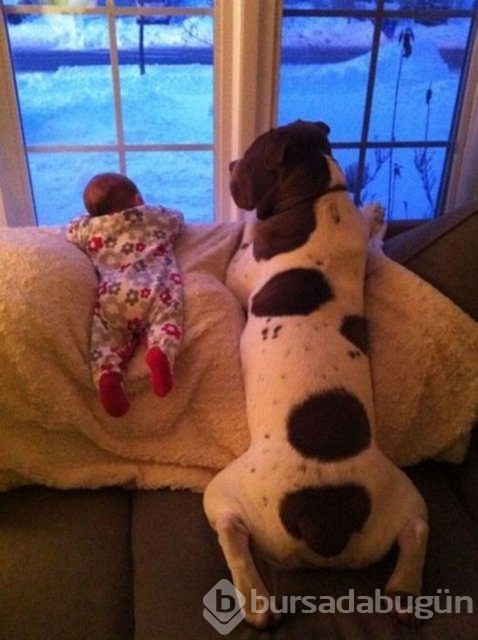 İşte en masum dostluk!