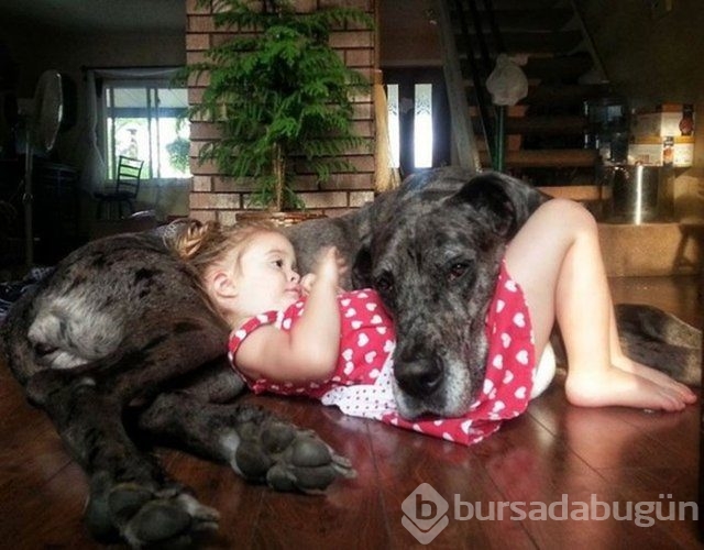 İşte en masum dostluk!