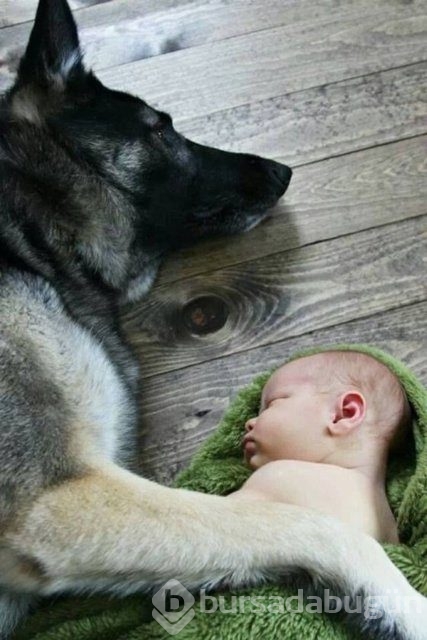 İşte en masum dostluk!
