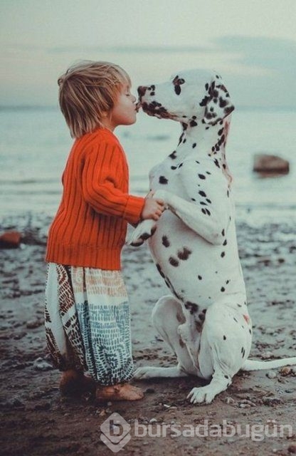 İşte en masum dostluk!
