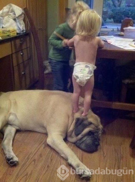 İşte en masum dostluk!