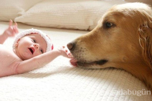 İşte en masum dostluk!