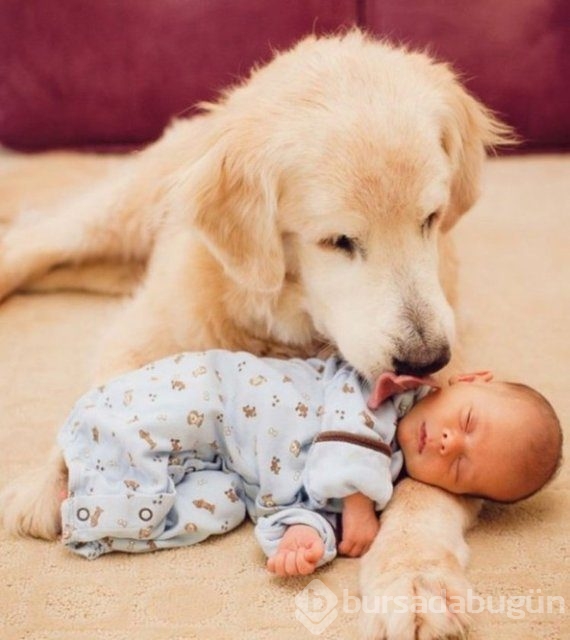 İşte en masum dostluk!