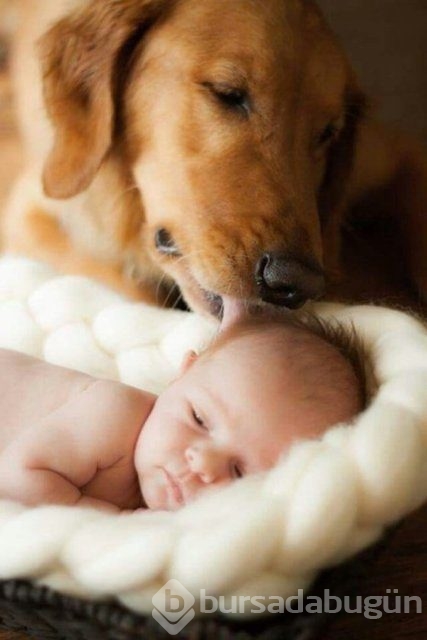 İşte en masum dostluk!
