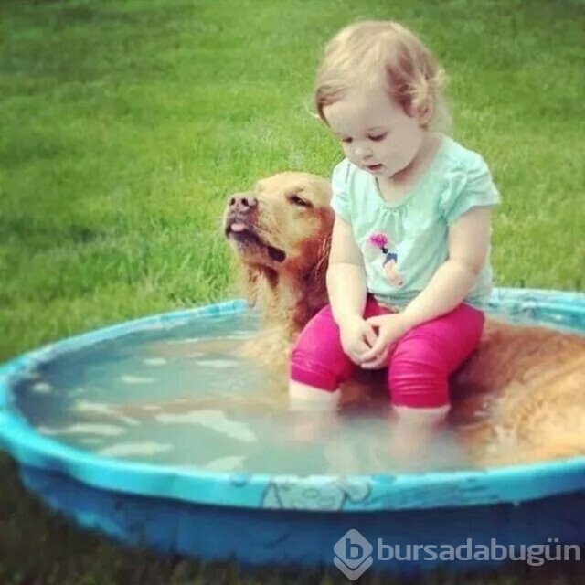 İşte en masum dostluk!