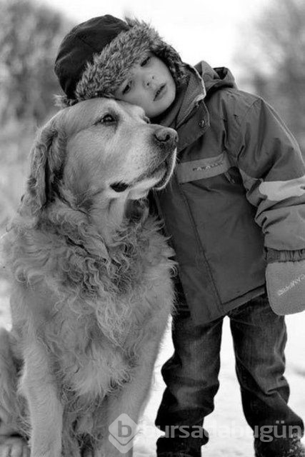 İşte en masum dostluk!