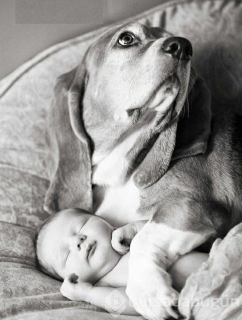 İşte en masum dostluk!
