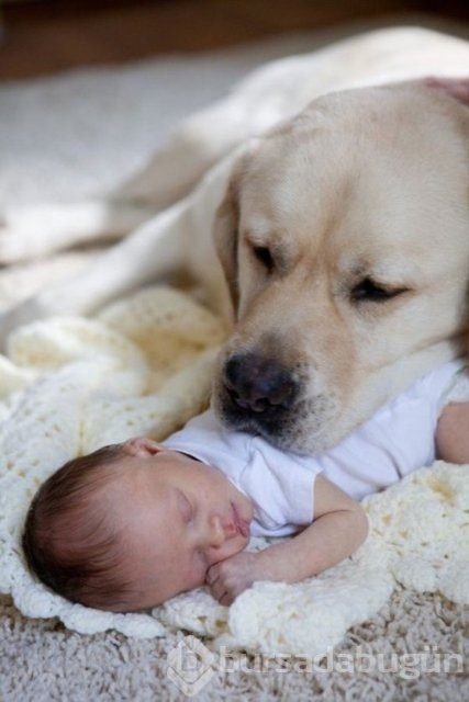 İşte en masum dostluk!