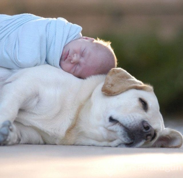 İşte en masum dostluk!