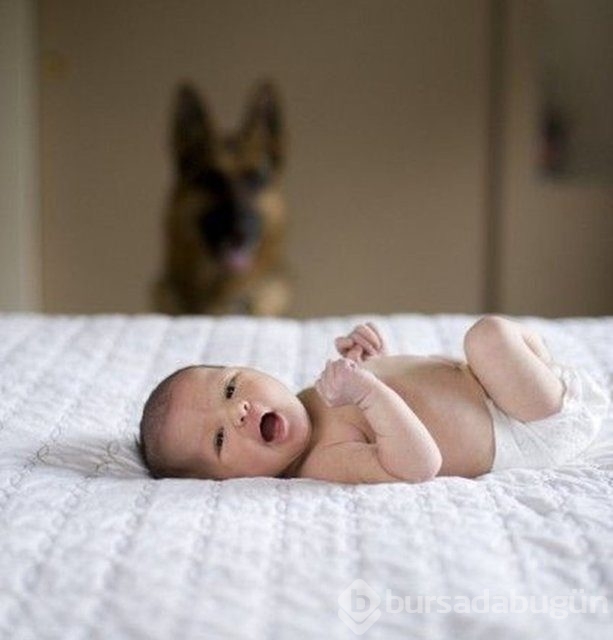 İşte en masum dostluk!