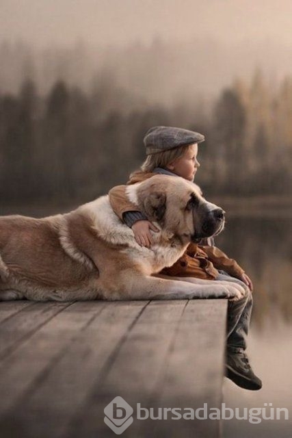 İşte en masum dostluk!