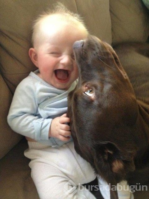 İşte en masum dostluk!