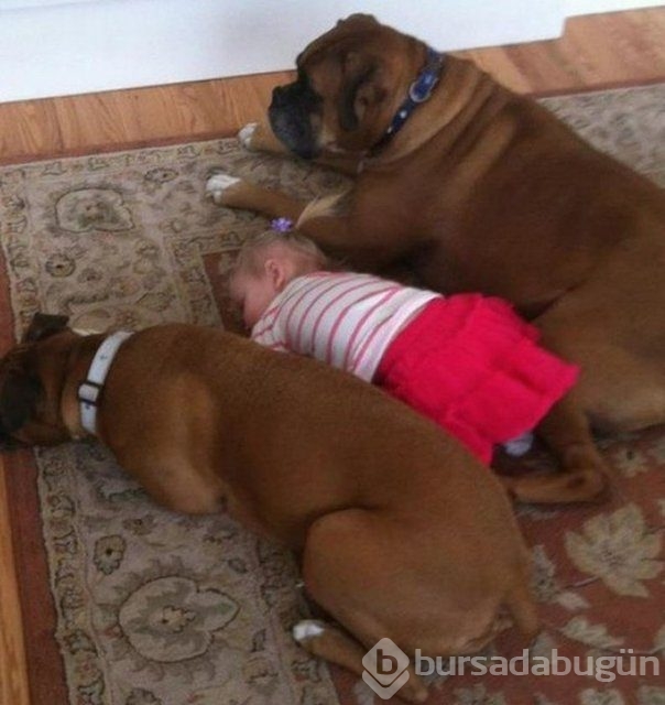 İşte en masum dostluk!