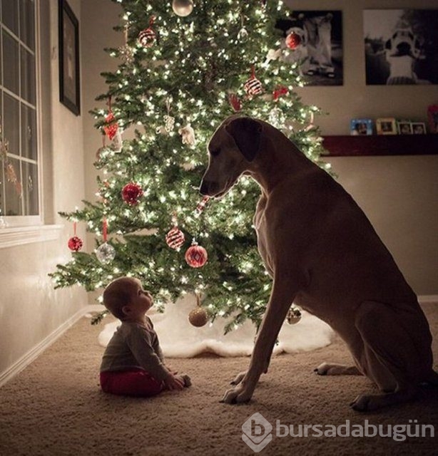 İşte en masum dostluk!