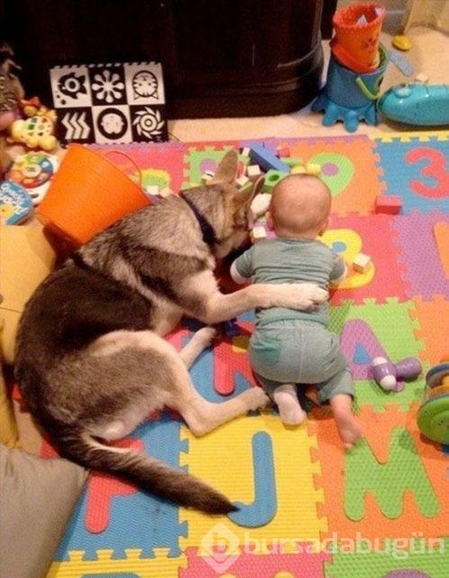 İşte en masum dostluk!