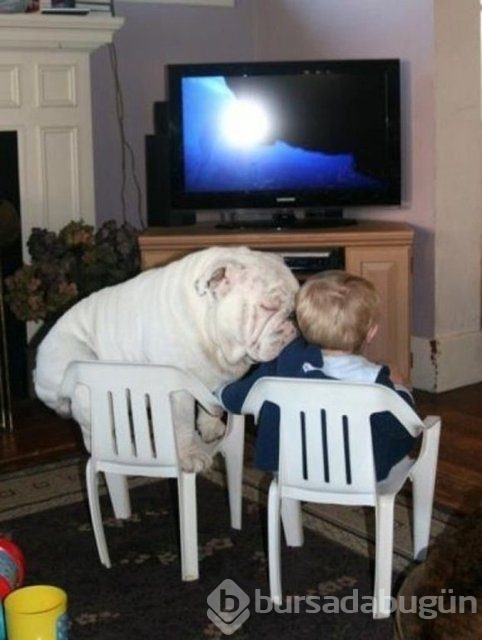 İşte en masum dostluk!