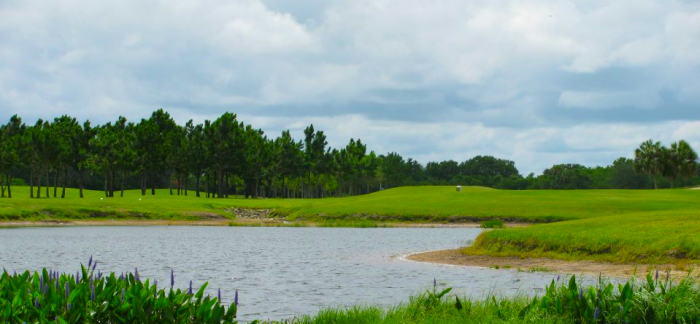 Golf sahasını timsah bastı