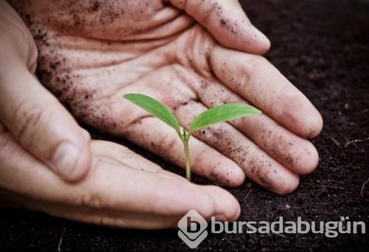 Dokunduğunuzda neler oluyor?