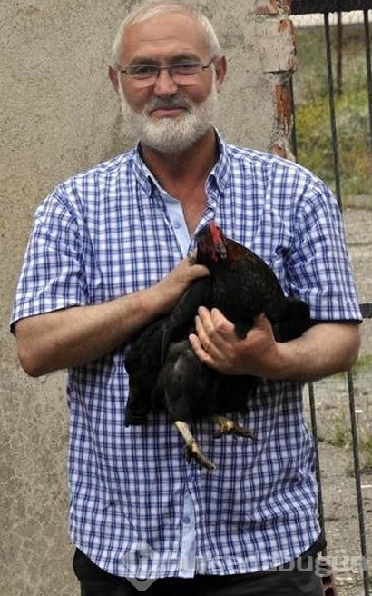 Yediği yumurtayı beğenmedi, çiftlik kurdu